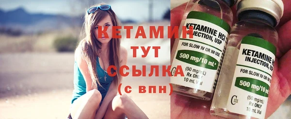 шишки Белоозёрский