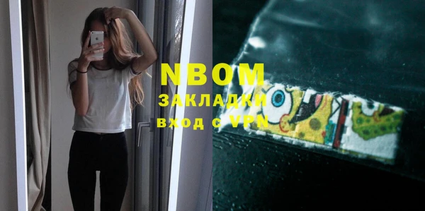 шишки Белоозёрский