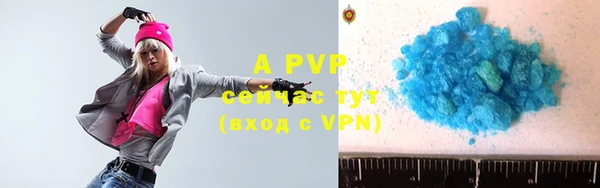 стафф Белокуриха
