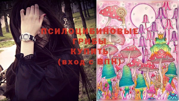 шишки Белоозёрский