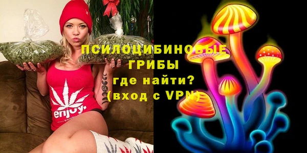 стафф Белокуриха