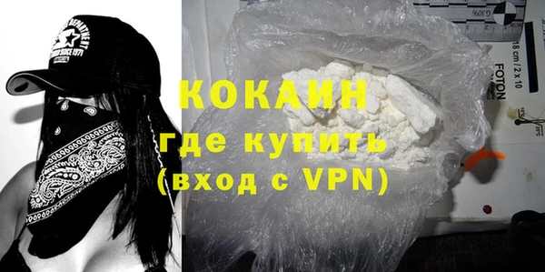 шишки Балахна