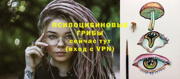шишки Балахна