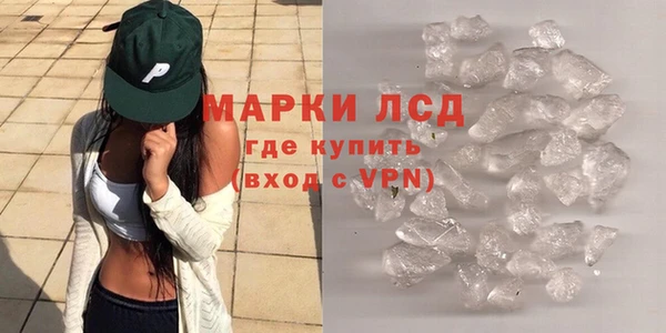 шишки Белоозёрский