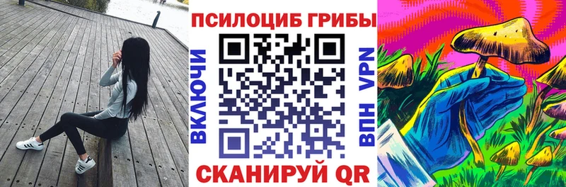 Галлюциногенные грибы мицелий  Купить закладки  Фролово 